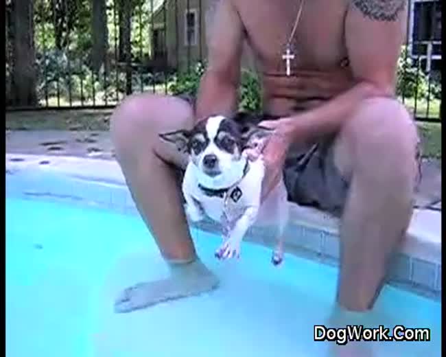 Dogs Air Swimming