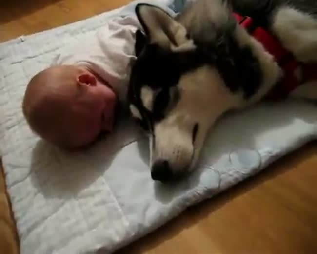Doggy and Baby