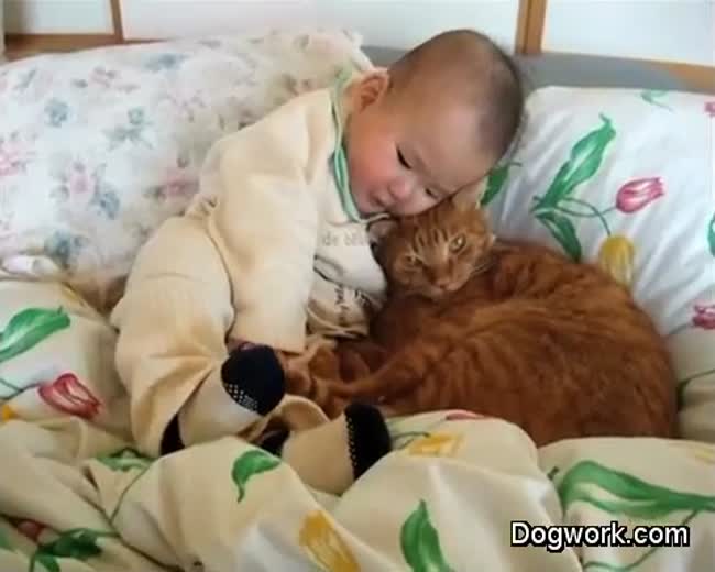 Baby Loves Kitty Cat