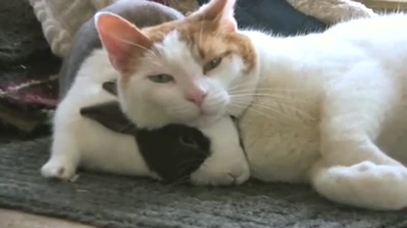 Best Friends Always