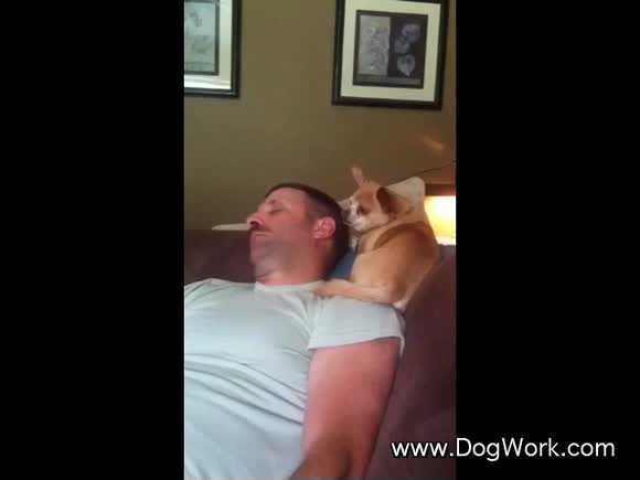 A Dog Loves His Papa