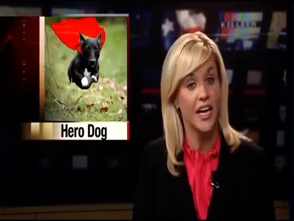 Dog Saves Little Girl From Venomous Rattlesnake