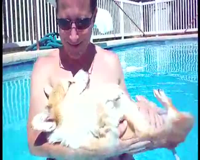 Basking, Bathing, and Bellyrubs