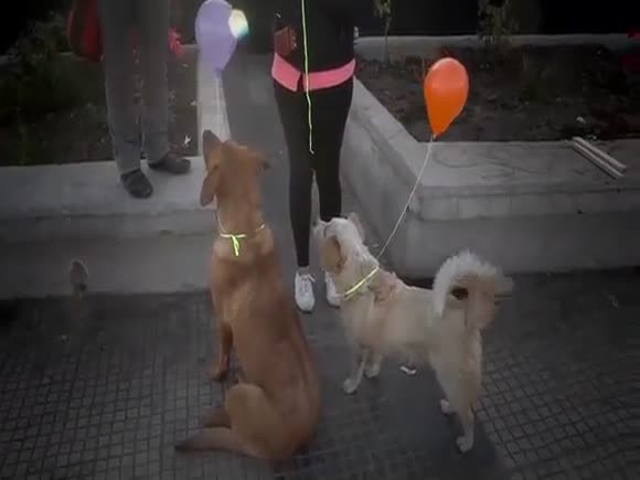  ESTOY AQUÍ PROJECT