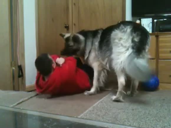 The dog will not let me exercise