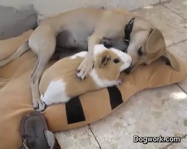 Take What You Can Get