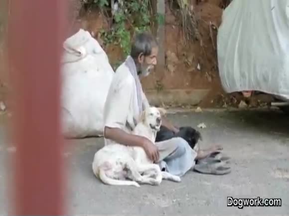 Kindness to humans and animals