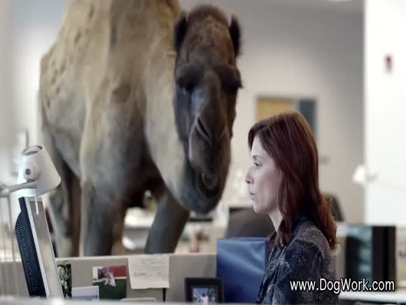 It's Hump Day