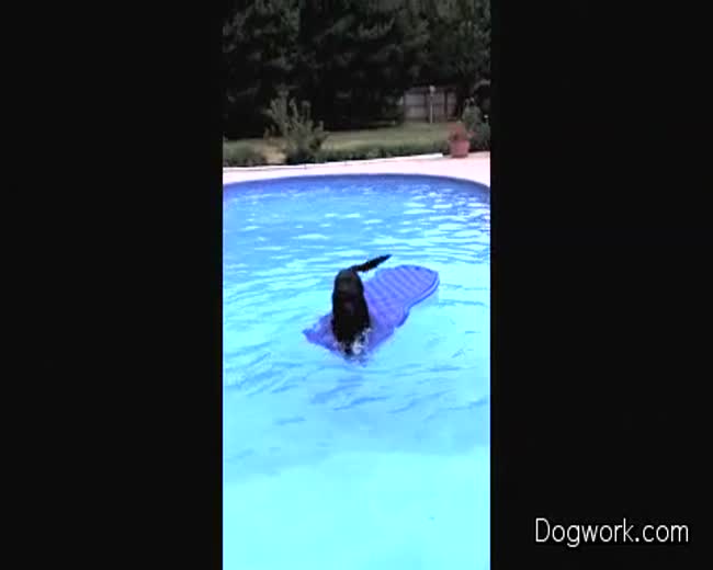 Lili Will Swim!