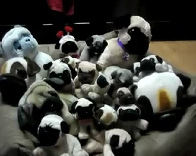 Try to find me!