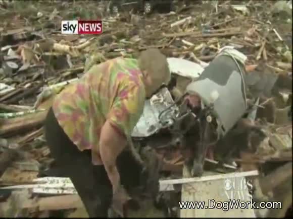The Oklahoma Tornado Miracle Dog
