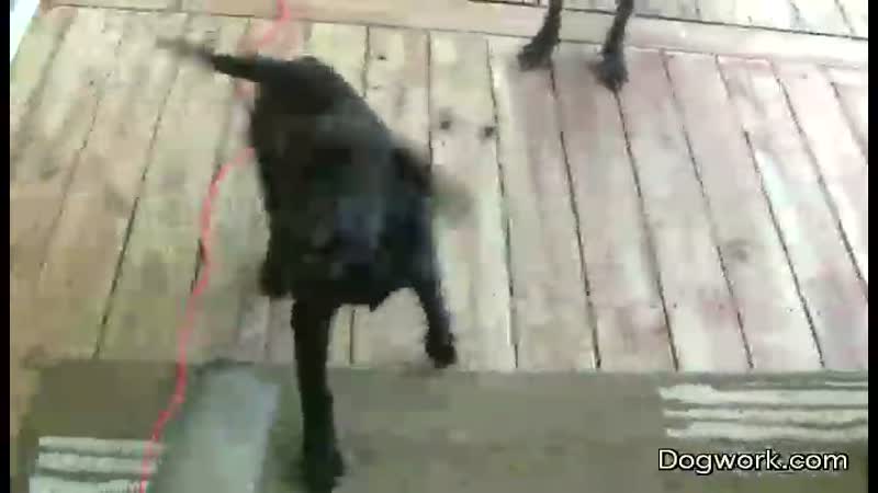 Tess Stands Her Ground