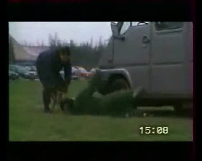 European Special Forces Dogs