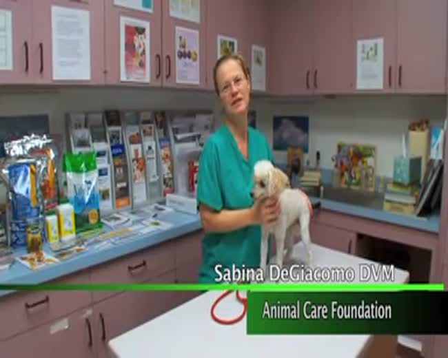 A Checkup Can Save A Life