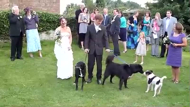 Smile, It's Your Wedding!